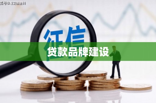 光山贷款品牌建设
