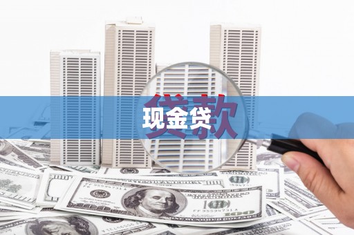 光山现金贷