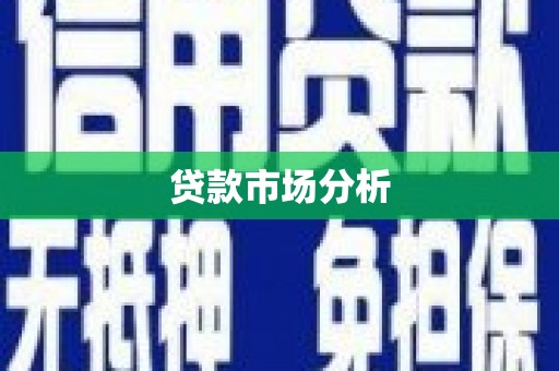 光山贷款市场分析