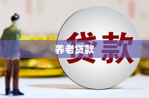 光山养老贷款
