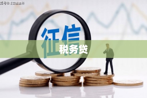 光山税务贷