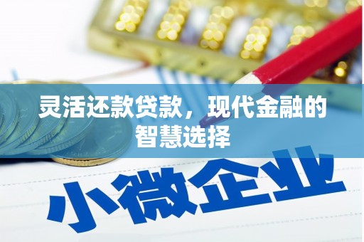 光山灵活还款贷款，现代金融的智慧选择