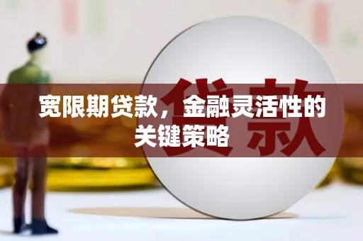 光山宽限期贷款，金融灵活性的关键策略