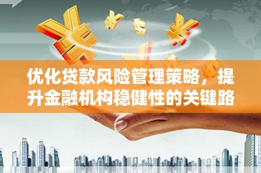 光山优化贷款风险管理策略，提升金融机构稳健性的关键路径