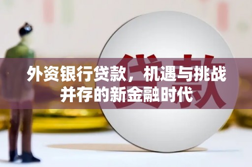 光山外资银行贷款，机遇与挑战并存的新金融时代