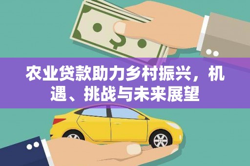 光山农业贷款助力乡村振兴，机遇、挑战与未来展望