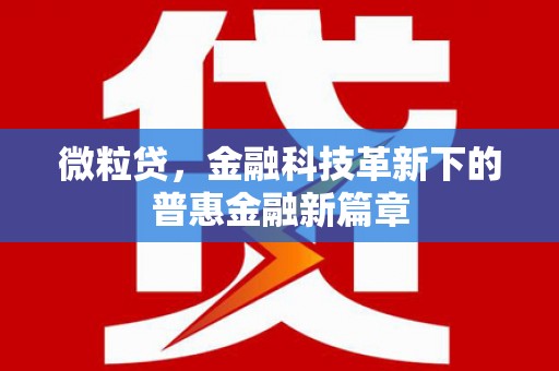 光山微粒贷，金融科技革新下的普惠金融新篇章