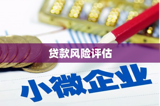 光山贷款风险评估