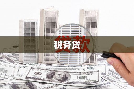 光山税务贷