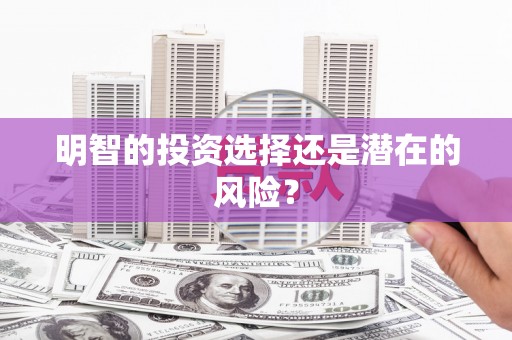 光山明智的投资选择还是潜在的风险？