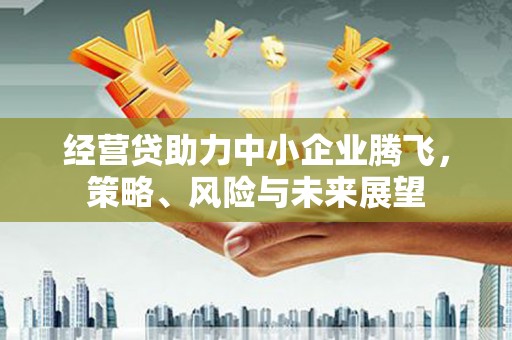 光山经营贷助力中小企业腾飞，策略、风险与未来展望