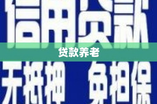 光山贷款养老