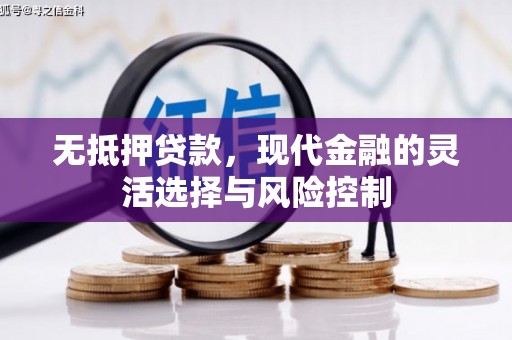 光山无抵押贷款，现代金融的灵活选择与风险控制