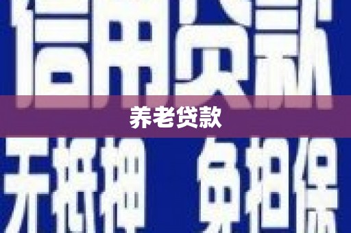 光山养老贷款