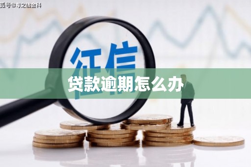 光山贷款逾期怎么办