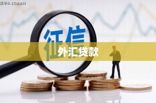 光山外汇贷款