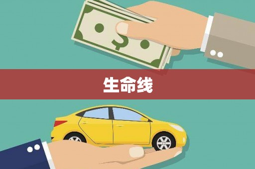 光山生命线