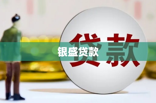 光山银盛贷款