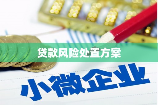 光山贷款风险处置方案