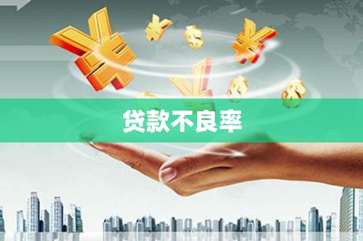 光山贷款不良率
