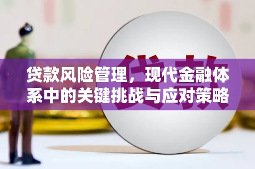 光山贷款风险管理，现代金融体系中的关键挑战与应对策略