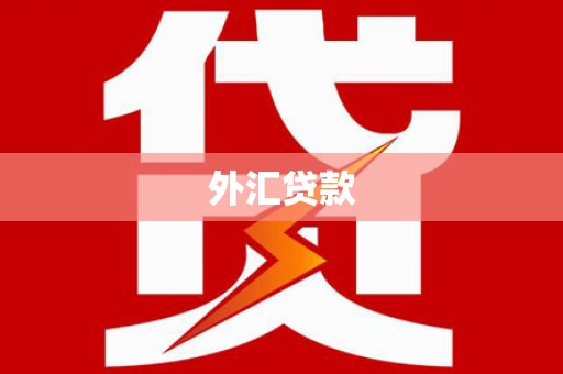 光山外汇贷款