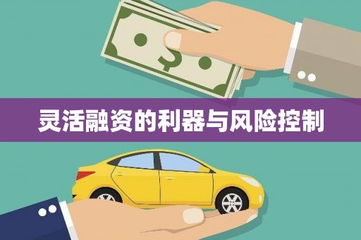 光山灵活融资的利器与风险控制