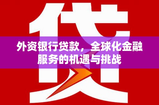 光山外资银行贷款，全球化金融服务的机遇与挑战
