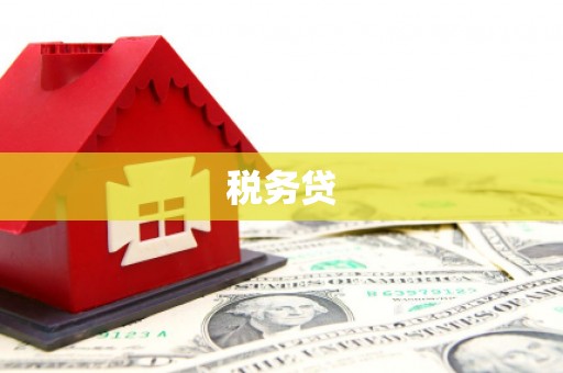 光山税务贷