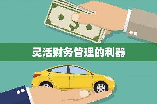 光山灵活财务管理的利器