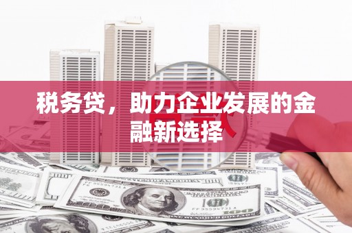 光山税务贷，助力企业发展的金融新选择