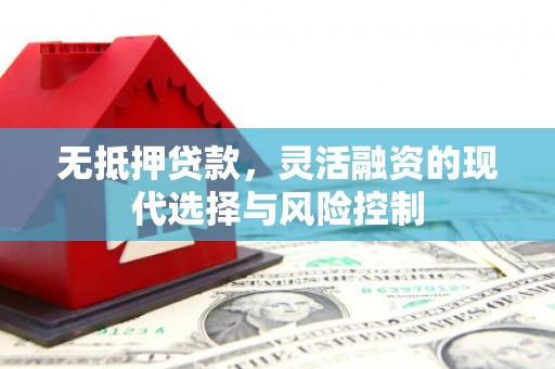 光山无抵押贷款，灵活融资的现代选择与风险控制