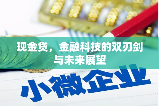光山现金贷，金融科技的双刃剑与未来展望