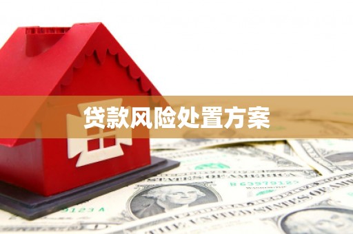 光山贷款风险处置方案