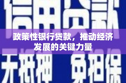 光山政策性银行贷款，推动经济发展的关键力量