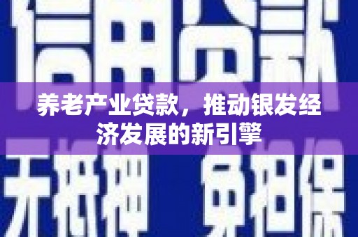 光山养老产业贷款，推动银发经济发展的新引擎