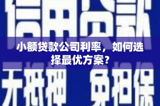 光山小额贷款公司利率，如何选择最优方案？