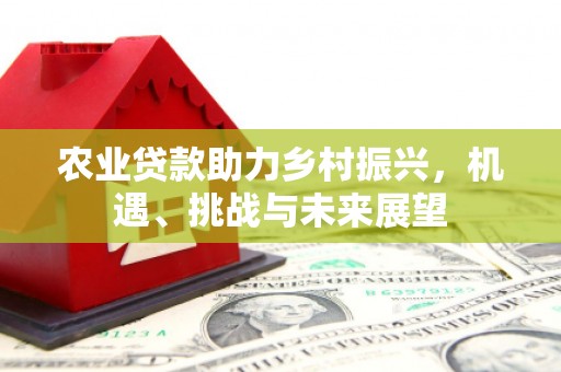 光山农业贷款助力乡村振兴，机遇、挑战与未来展望