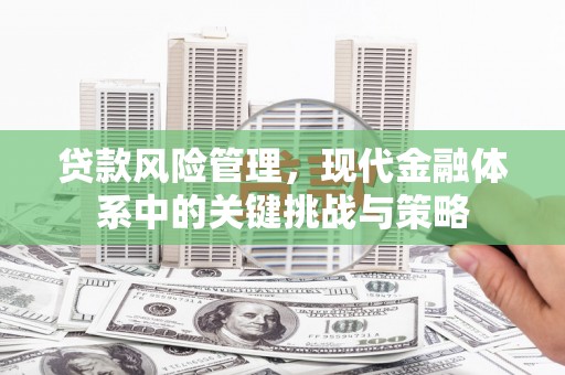 光山贷款风险管理，现代金融体系中的关键挑战与策略