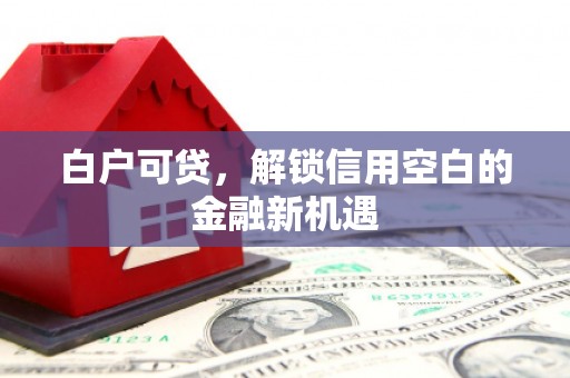光山白户可贷，解锁信用空白的金融新机遇
