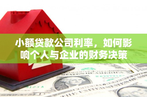 光山小额贷款公司利率，如何影响个人与企业的财务决策