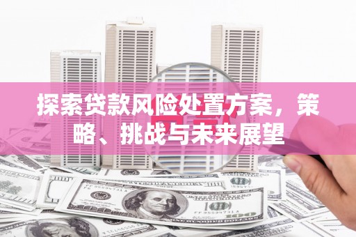 光山探索贷款风险处置方案，策略、挑战与未来展望