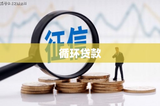 光山循环贷款