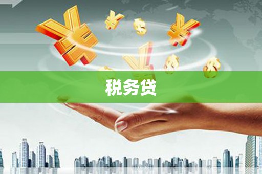 光山税务贷