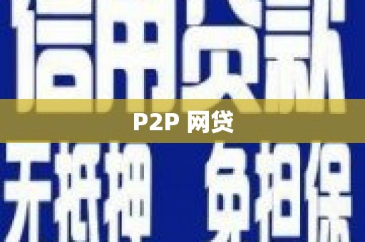 光山P2P 网贷