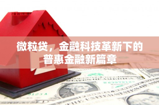 光山微粒贷，金融科技革新下的普惠金融新篇章