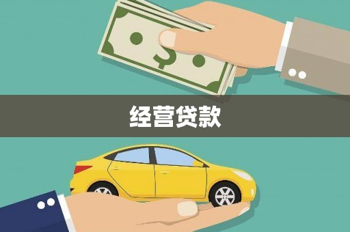 光山经营贷款