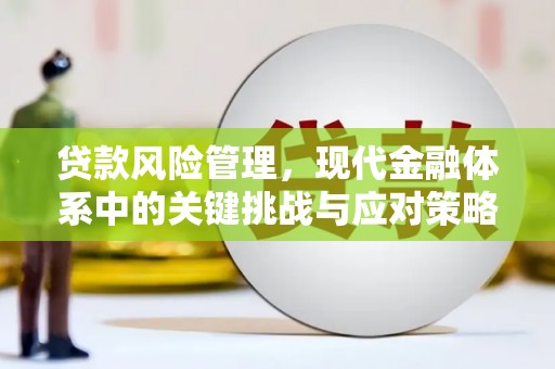 光山贷款风险管理，现代金融体系中的关键挑战与应对策略