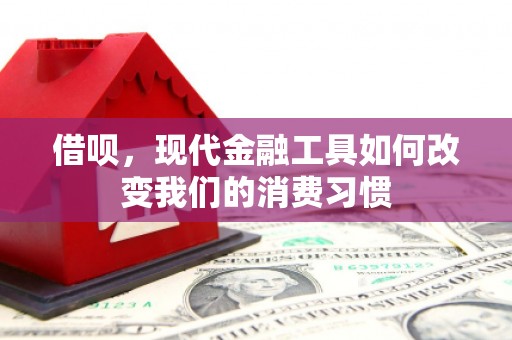光山借呗，现代金融工具如何改变我们的消费习惯