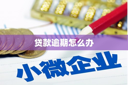 光山贷款逾期怎么办